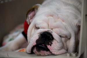 Eat Well, Sleep Well…and Vice Versa