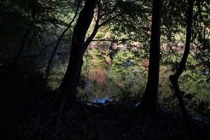 One Student’s Struggle with Mental Health…