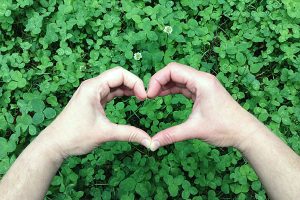 Maintaining a Low-Waste Lifestyle During COVID-19