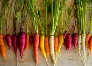 Explore the Store: Carrots