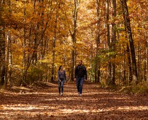 Sober Activities: National Recovery Month 2021