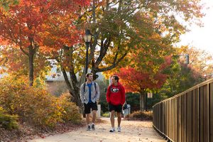 Finding Support Through SCO and Embark@UGA
